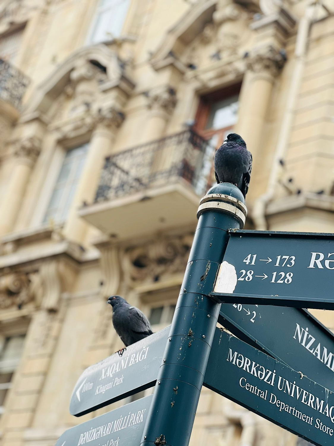 Путешествие в Баку: Новые ощущения и вдохновение для Нашей Команды